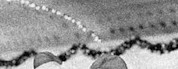 Türchen 6 (gesperrt)